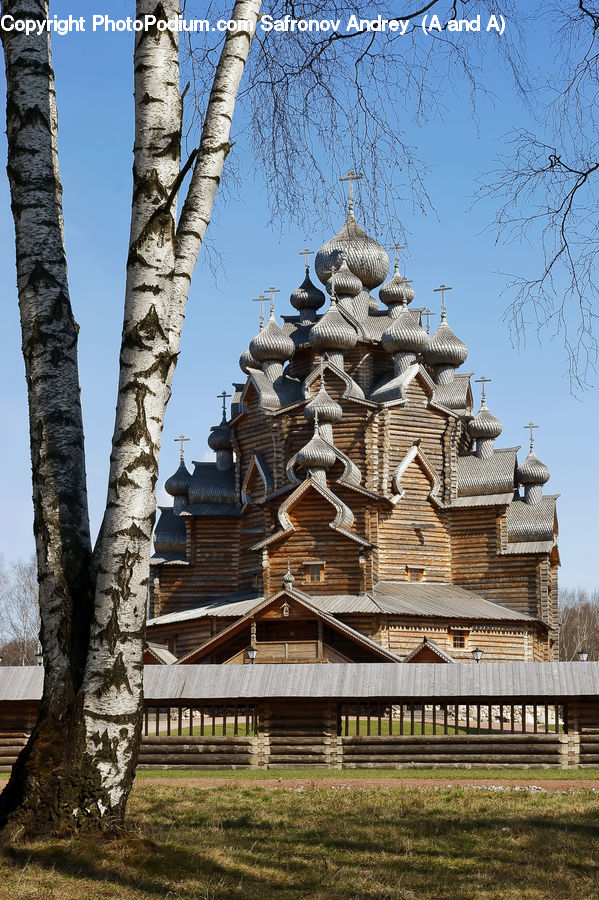 Architecture, Shrine, Temple, Worship, Dome, Birch, Tree