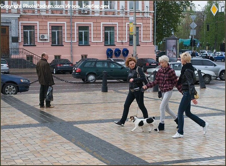 People, Person, Human, Automobile, Car, Vehicle, Coat