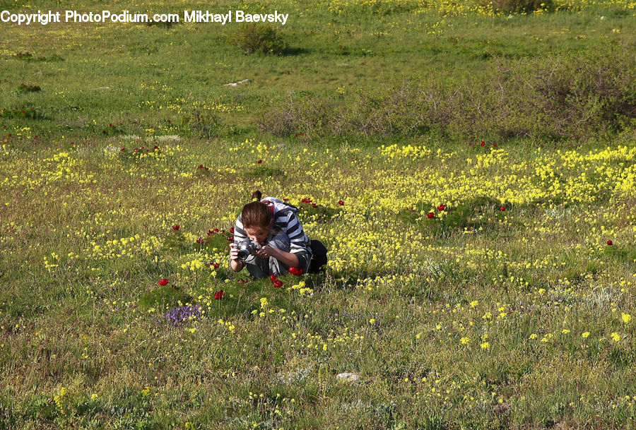 People, Person, Human, Field, Grass, Grassland, Land