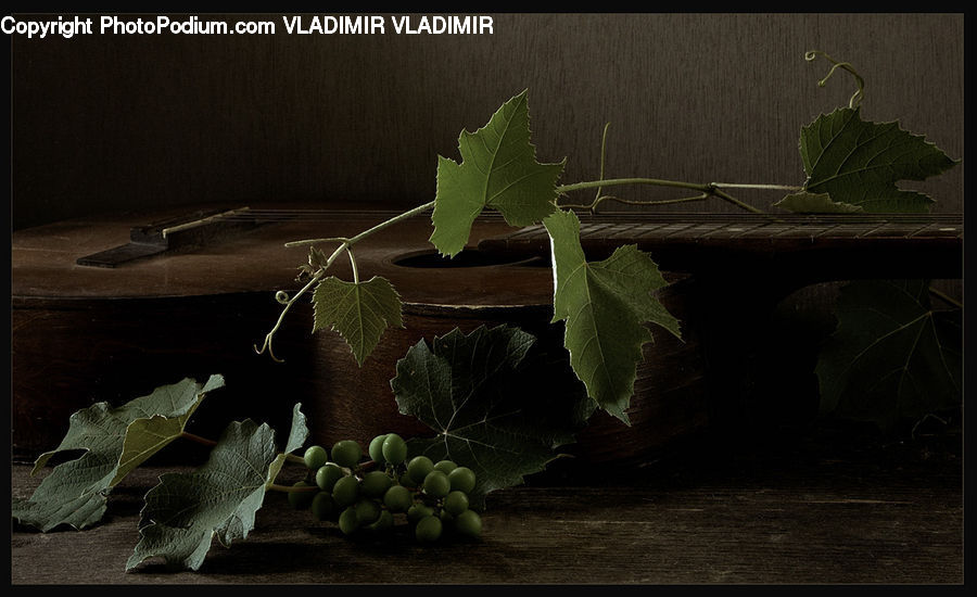 Plant, Potted Plant, Ivy, Vine, Leaf, Fruit, Grapes
