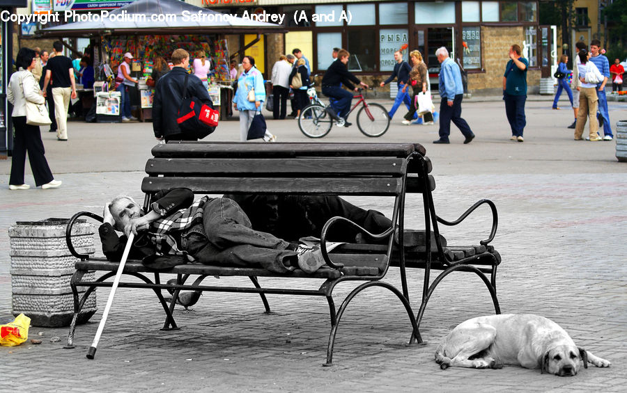 People, Person, Human, Bench, Chair, Furniture, Luggage