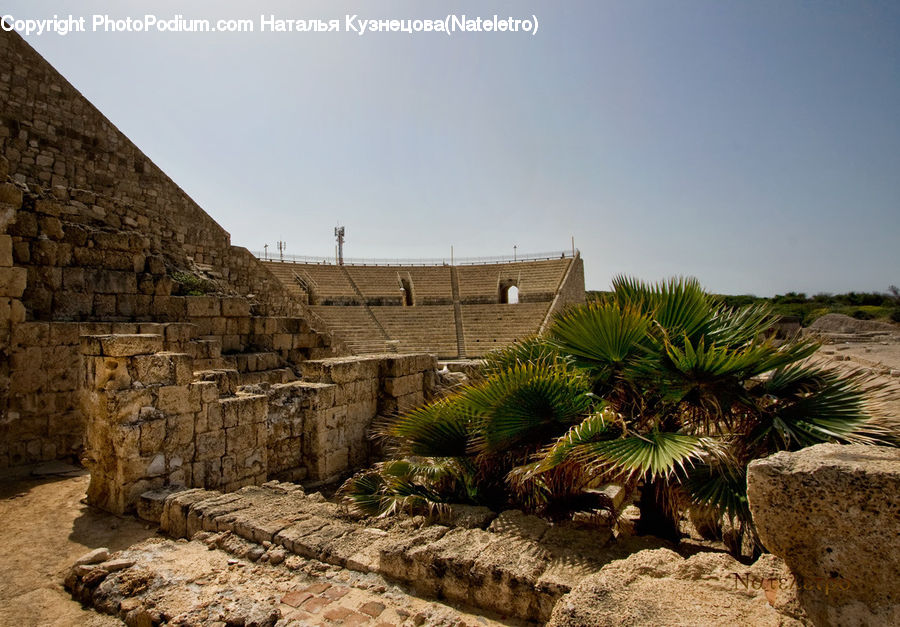 Castle, Fort, Aloe, Plant, Cactus, Ancient Egypt, Outdoors