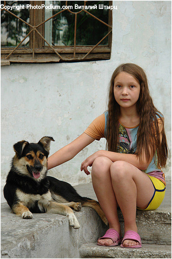 Human, People, Person, Window, Animal, Canine, Dog
