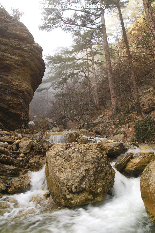 Creek, Outdoors, River, Water, Nature, Cliff, Rock