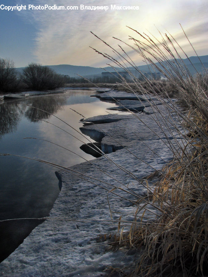 Grass, Plant, Reed, Boat, Watercraft, Field, Grassland
