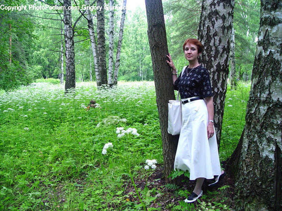 Human, People, Person, Forest, Grove, Land, Vegetation