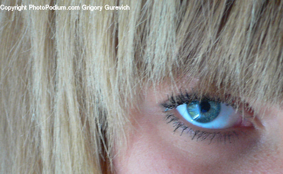 Contact Lens, Face