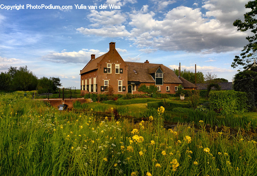 Building, Cottage, Housing, Field, Grass, Grassland, Land