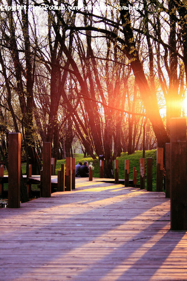 Bench, Chair, Furniture, Landscape, Nature, Scenery, Flare