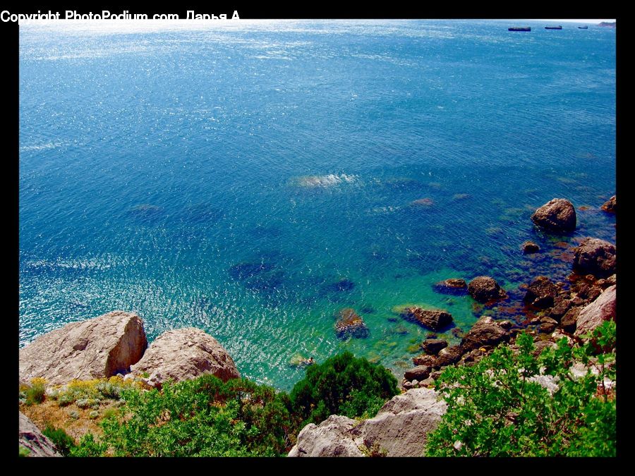Coral Reef, Outdoors, Reef, Sea, Sea Life, Water, Rock