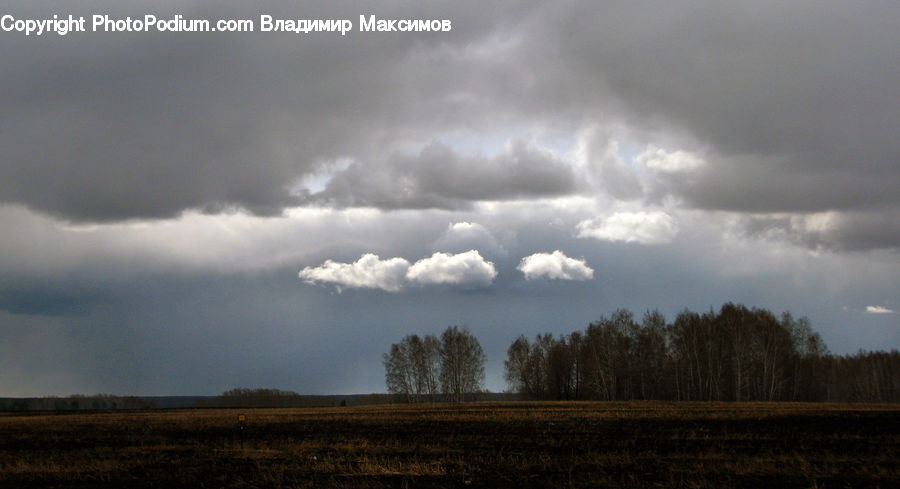 Cloud, Cumulus, Sky, Azure Sky, Outdoors, Field, Grass