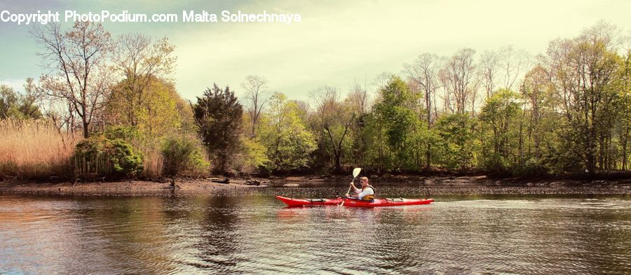 Boat, Canoe, Rowboat, Land, Marsh, Outdoors, Swamp