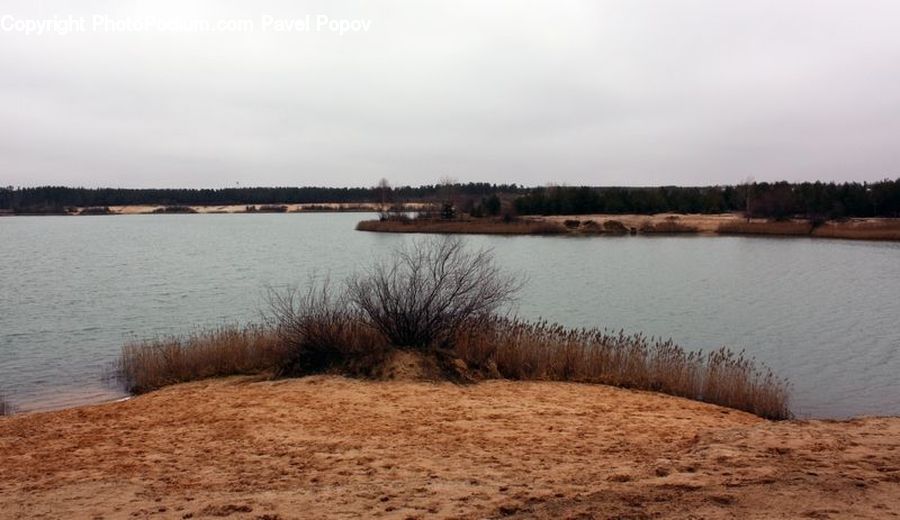 Land, Marsh, Outdoors, Swamp, Water, Coast, Sea