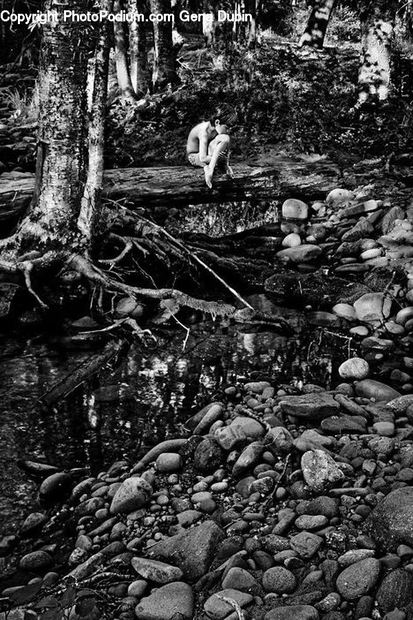 Forest, Jungle, Rainforest, Vegetation, Ground, Soil, Outdoors
