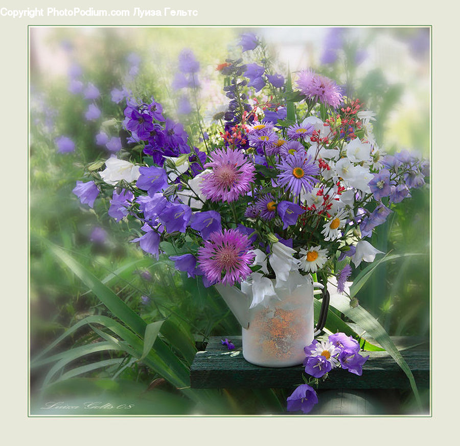 Plant, Potted Plant, Flower, Flower Arrangement, Flower Bouquet, Pot, Pottery