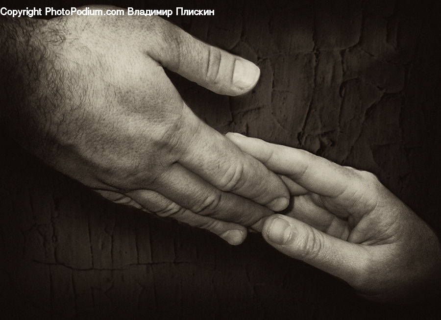 Finger, Hand