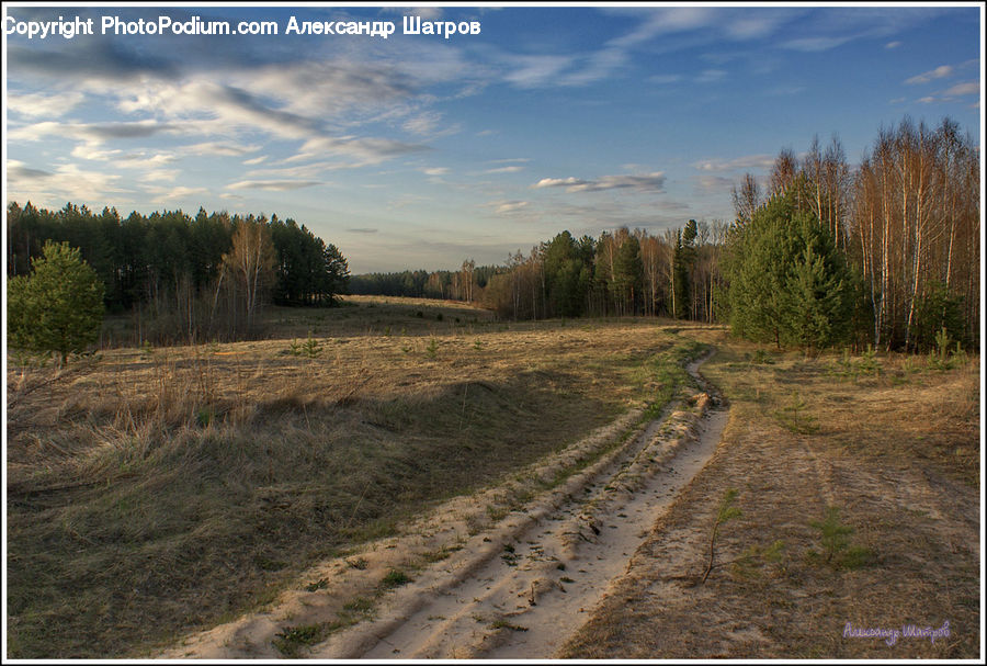 Dirt Road, Gravel, Road, Soil