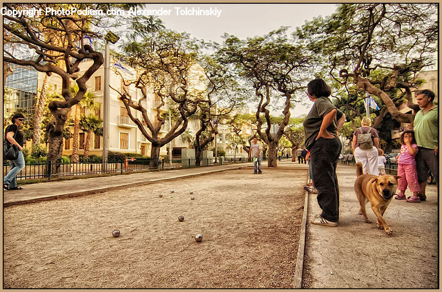 People, Person, Human, Leisure Activities, Walking, Exercise, Fitness