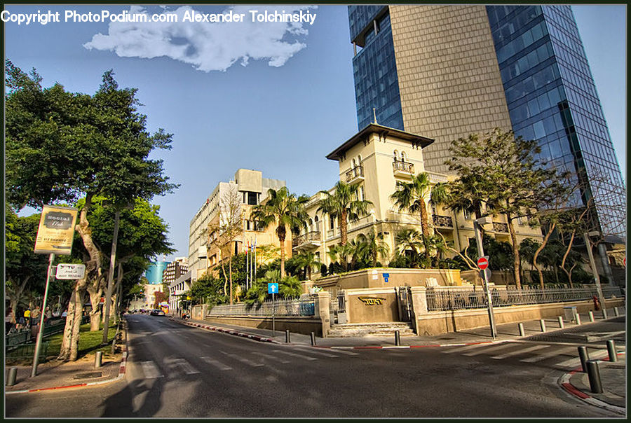 Playground, Building, Housing, Plant, Tree, Intersection, Road