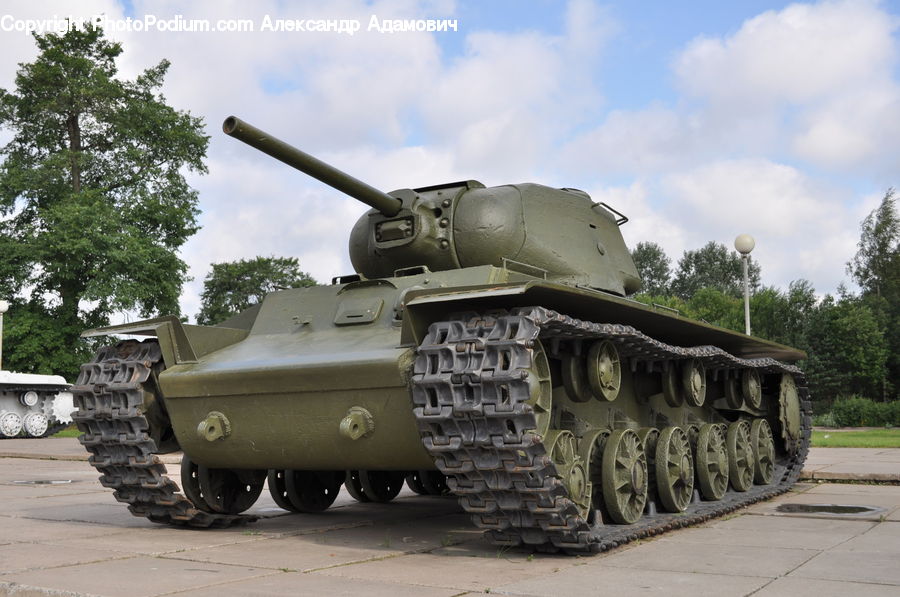Army, Tank, Vehicle, Plant, Tree, Oak, Wood