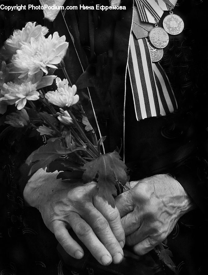 People, Person, Human, Blossom, Daffodil, Flora, Flower