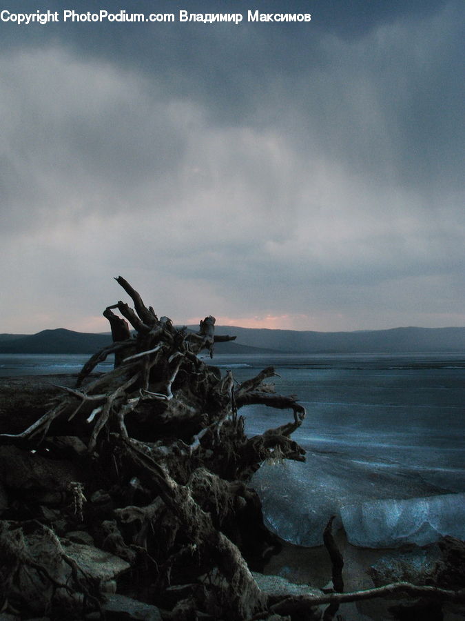 Coast, Outdoors, Sea, Water, Beach, Rubble, Plant