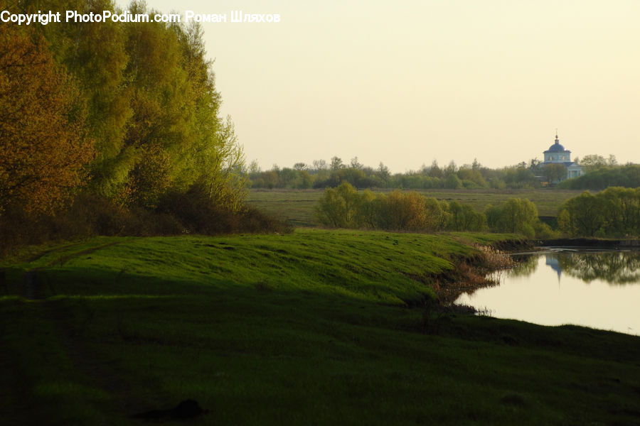 Field, Grass, Grassland, Land, Outdoors, Golf Course, Plant