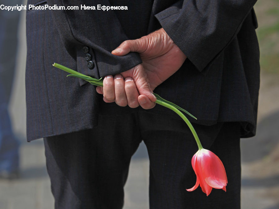People, Person, Human, Blossom, Flora, Flower, Orchid