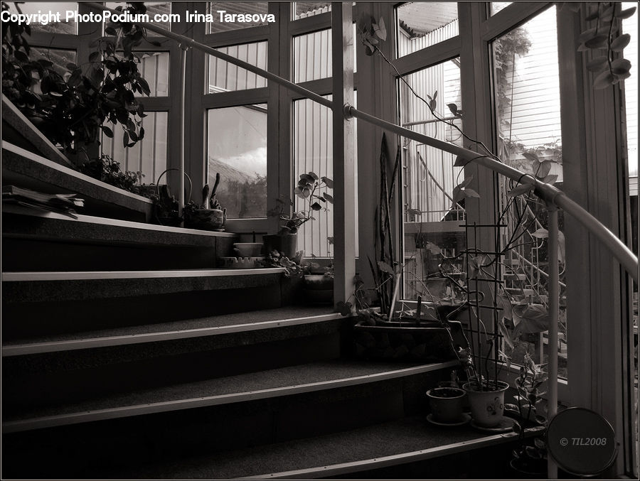 Plant, Potted Plant, Banister, Handrail, Staircase, Factory, Art
