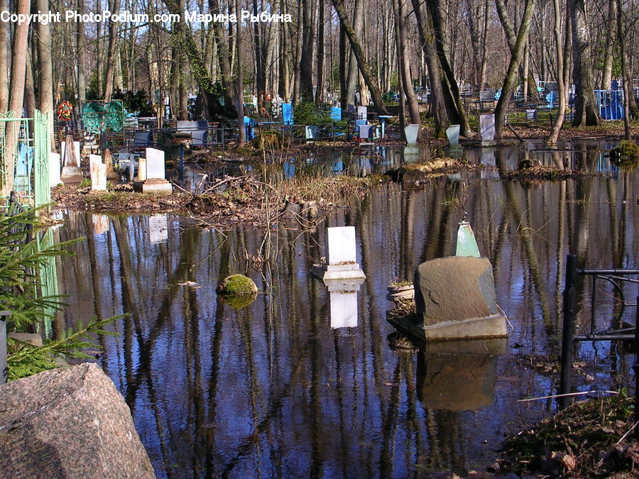 Water, Land, Marsh, Pond, Swamp, Field, Grass