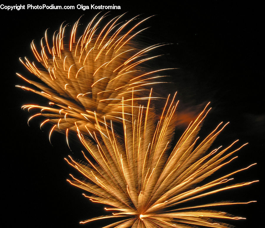 Fireworks, Night