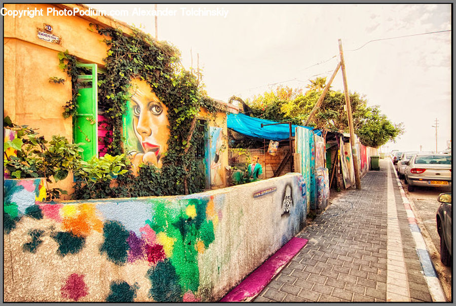 Plant, Potted Plant, Ivy, Vine, Art, Boardwalk, Path