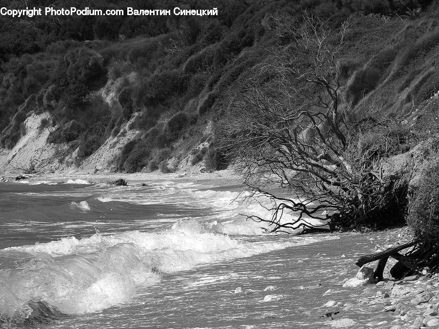 Bench, Outdoors, River, Water, Creek, Sea, Sea Waves