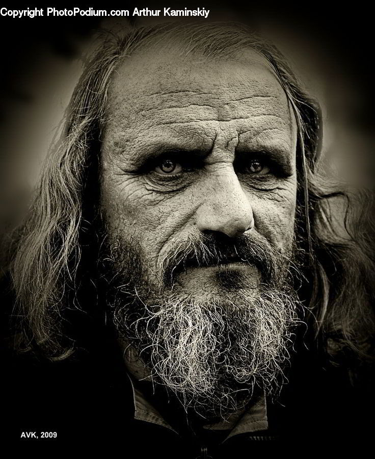 Beard, Hair, Person, Portrait, Selfie, Face