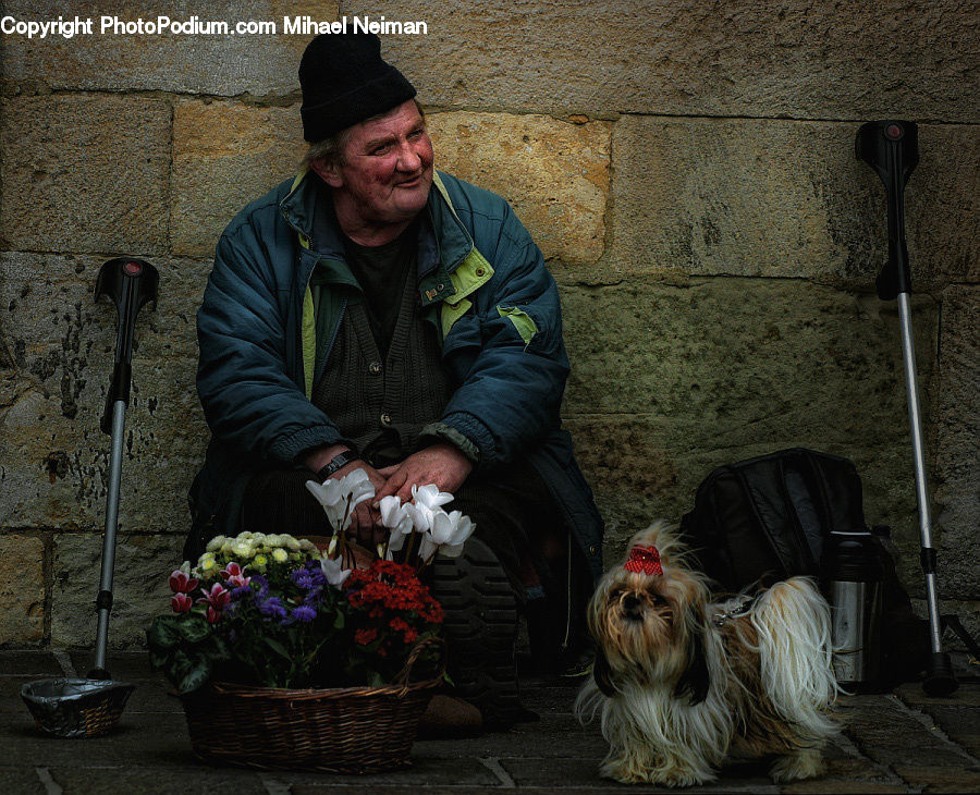 Human, People, Person, Plant, Potted Plant, Animal, Canine