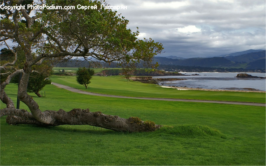 Golf Course, Grassland, Landscape, Nature, Scenery, Field, Grass