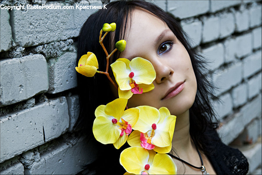 People, Person, Human, Female, Girl, Woman, Face