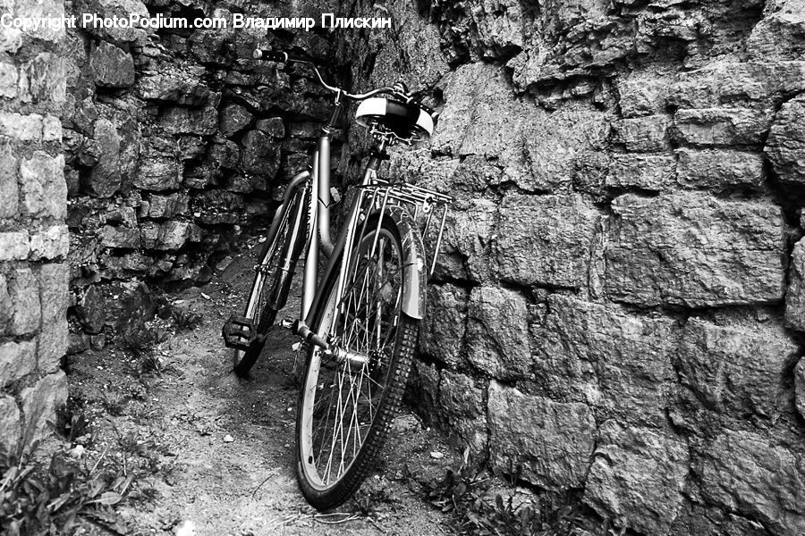 Bicycle, Bike, Vehicle, Moped, Motor Scooter, Motorcycle, Vespa