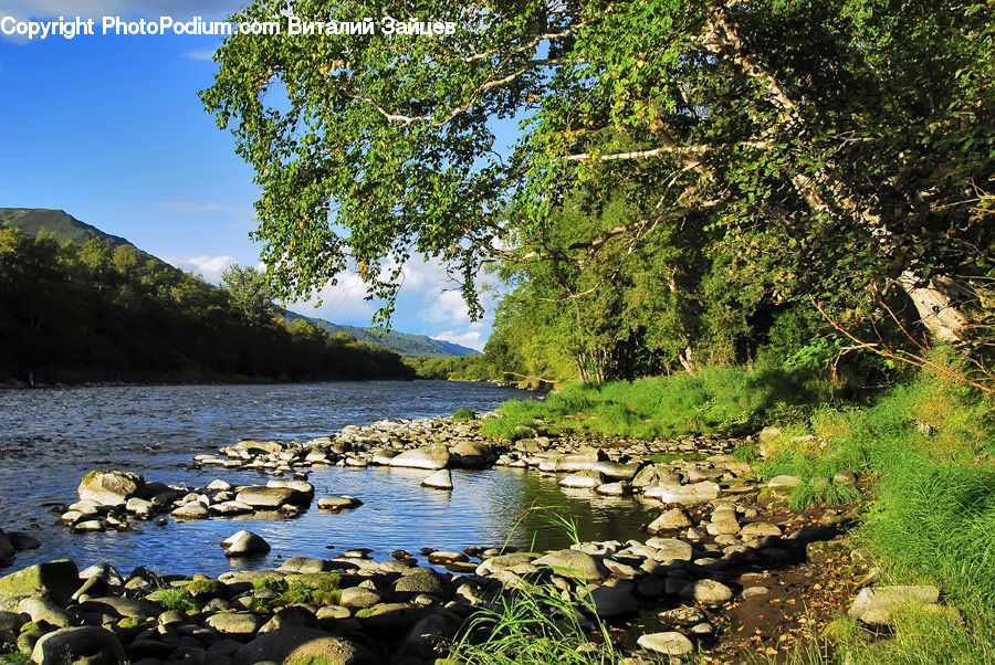 Rock, Creek, Outdoors, River, Water, Coast, Sea