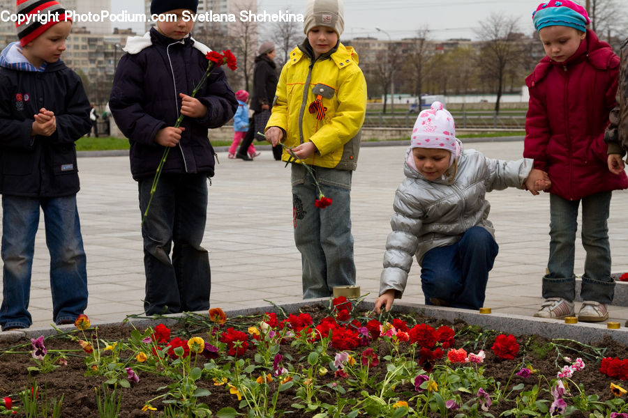 Human, People, Person, Blossom, Flora, Flower, Plant