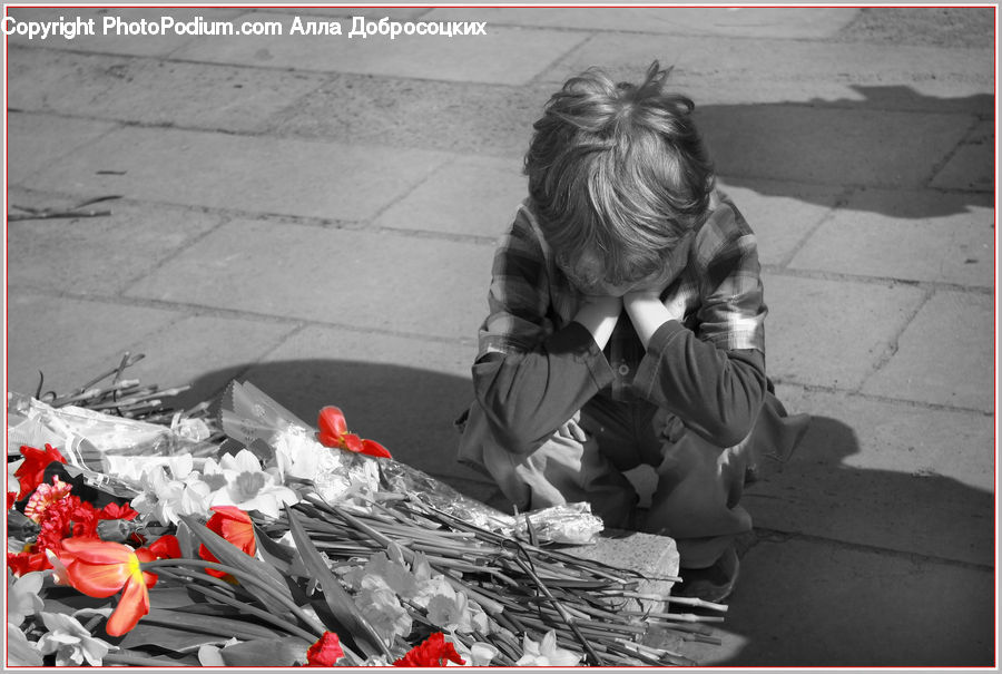 People, Person, Human, Flyer, Poster, Collage, Female