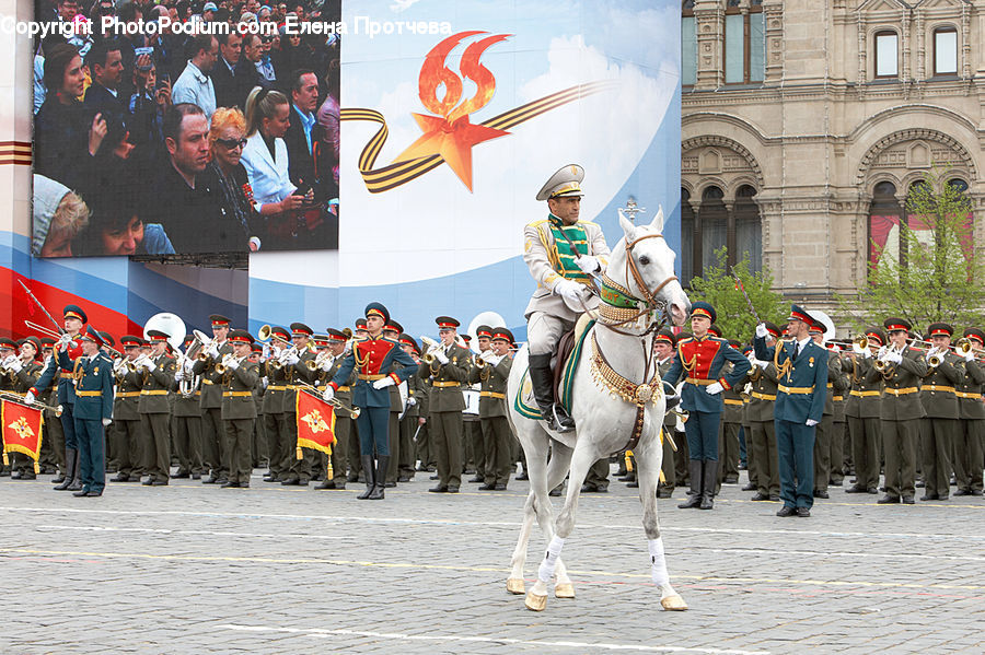 People, Person, Human, Animal, Horse, Mammal, Military