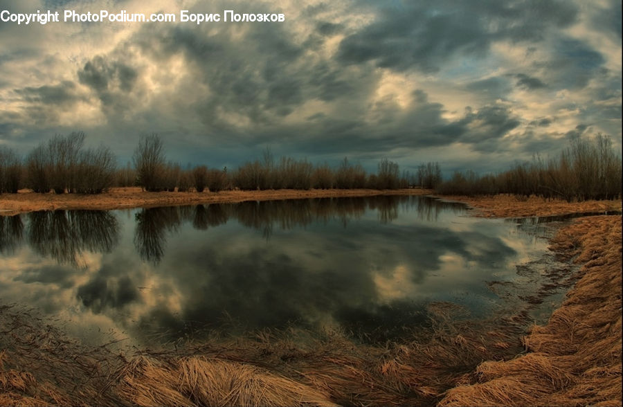 Flood, Land, Marsh, Pond, Swamp, Water, Field