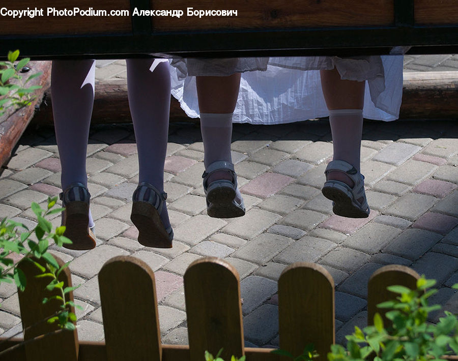 Plant, Potted Plant, Boot, Shoe, Arch, Ankle, Arched