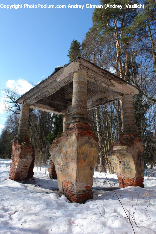 Outhouse, Shack, Tree Trunk, Piste, Skiing, Slide, Snow