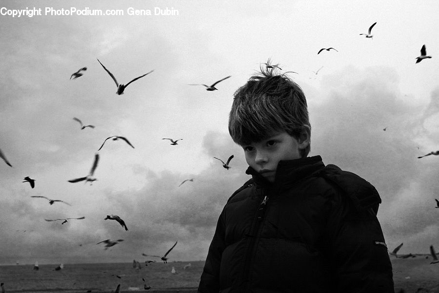 Human, People, Person, Bird, Seagull, Portrait