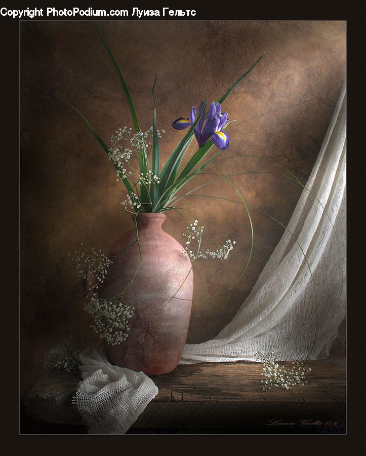 Plant, Potted Plant, Flower Arrangement, Ikebana, Vase, Gift, Pot
