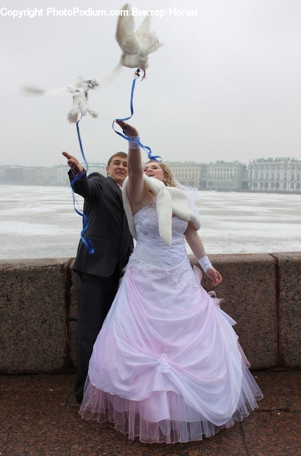 People, Person, Human, Wedding, Bird, Dove, Pigeon