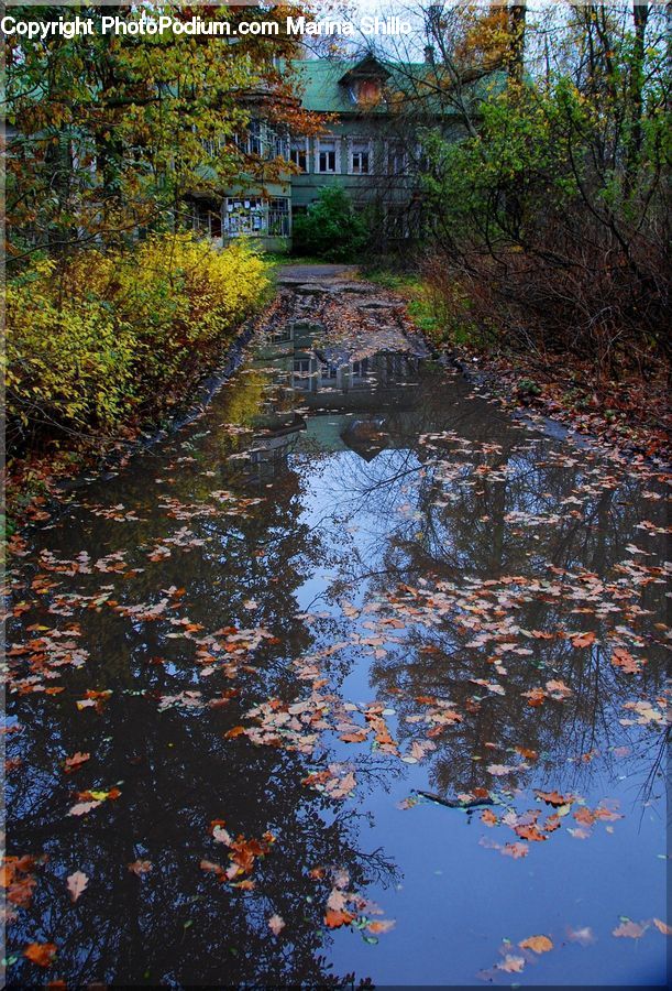 Creek, Outdoors, River, Water, Pond, Dirt Road, Gravel