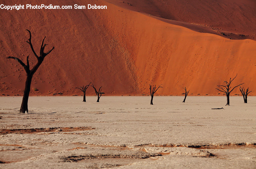 Desert, Outdoors, Sand, Soil, Dune, Silhouette, Landscape